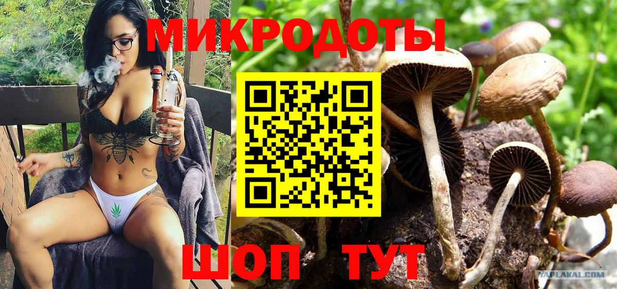 Псилоцибиновые грибы прущие грибы Мценск
