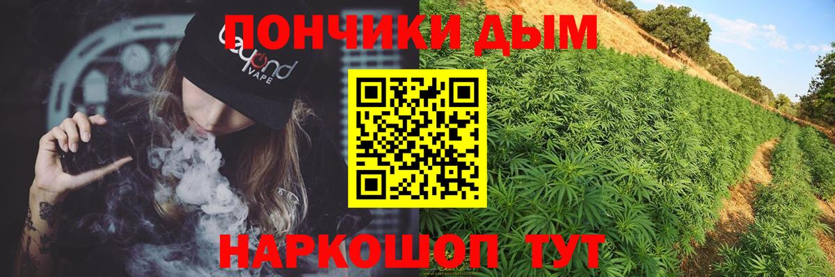 Канабис конопля Мценск